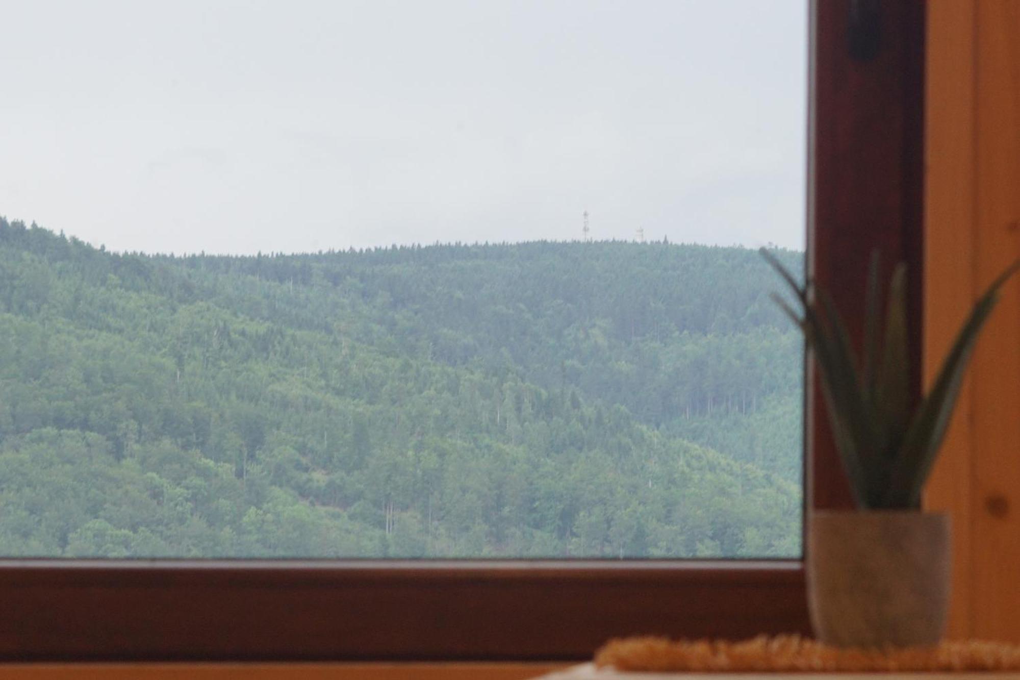 Sowi Widok Ferienhaus *